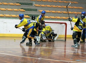 hockey6