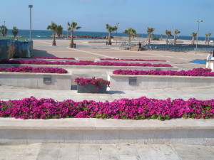 marina3