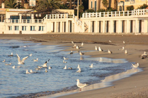 spiaggia perla del tirreno