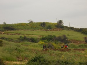 s. marinella