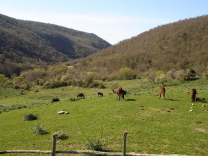 valle rio fiume monti della tolfa