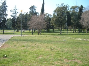 parco spigarelli