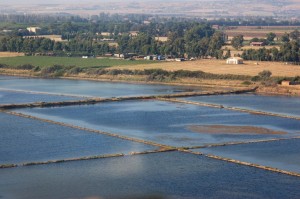 saline tarquinia