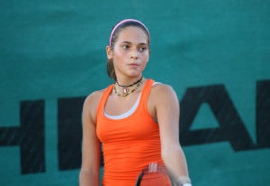 lavinia bollo