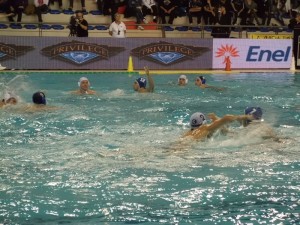 pallanuoto4