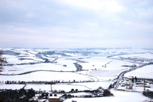 tarquinia neve