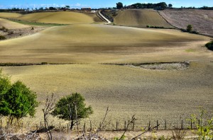 pizzo del prete