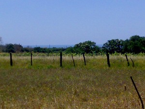 cerveteri