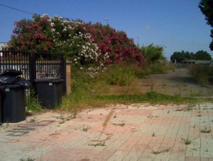 giardino liceo classico