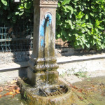 fontanella