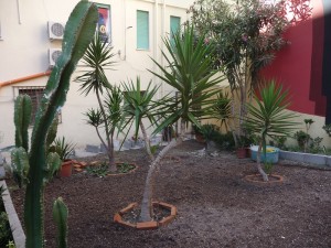 orto urbano