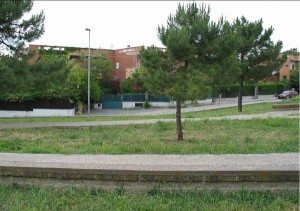 parco saffi