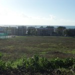 campo dell’oro