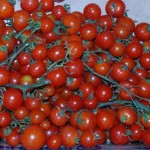 come-coltivare-pomodori-in-giardino-o-sul-balcone-di-casa_61bc51b2358f889222c2672f1f670f9c