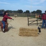 team roping5