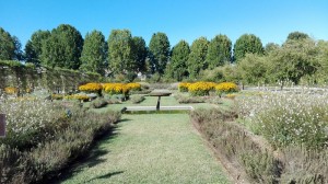 venaria2