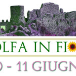 BANNER-TOLFA-IN-FIORE-CENTUMCELLAE