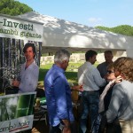 termeinfiore-ecoinvestimenti-in-bambu