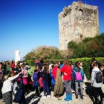 torre di palidoro2