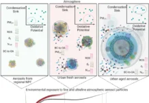 Meno polveri sottili, più nanoparticelle: polmoni a rischio